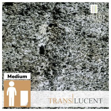 Translucent Argento Stone Veneer